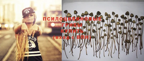 дурь Алексеевка