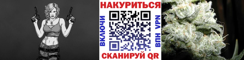 Бошки марихуана OG Kush Гвардейск