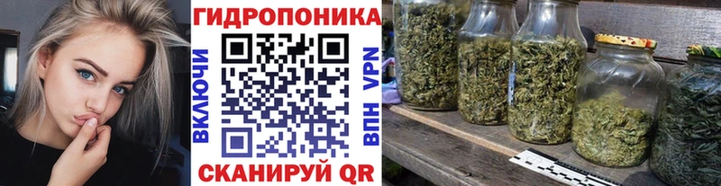 Конопля конопля Гвардейск